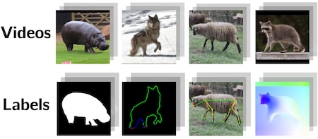 thumbnail_animal4d